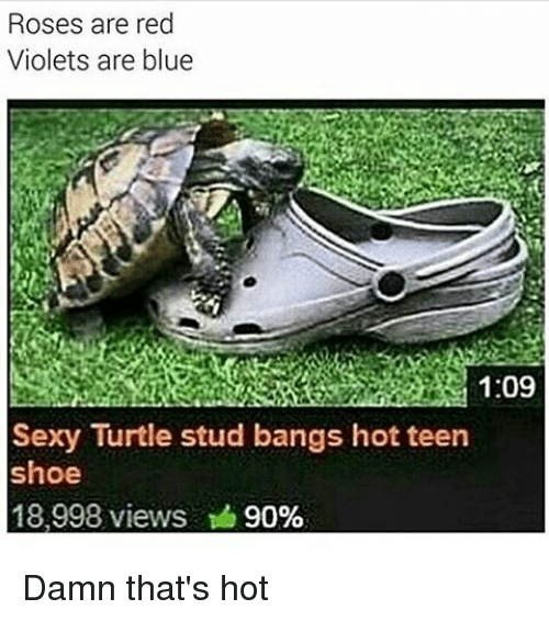 Martian reccomend sexy turtle stud bangs teen shoe