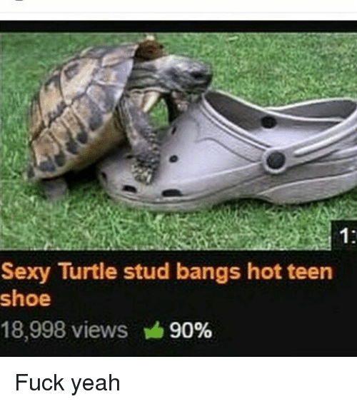 Sexy turtle stud bangs teen shoe