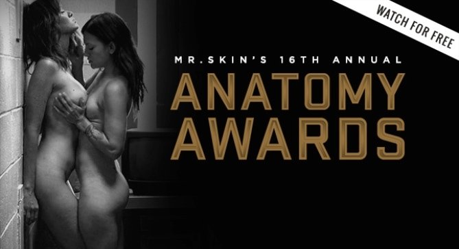 best of Awards anatomy mister nominees skin