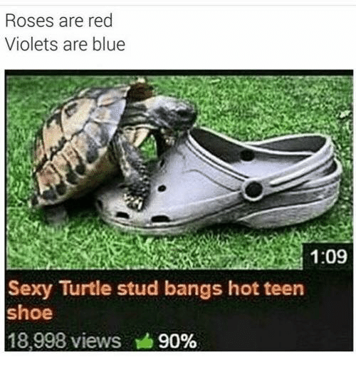 Sexy Turtle stud bangs hot teen shoe.