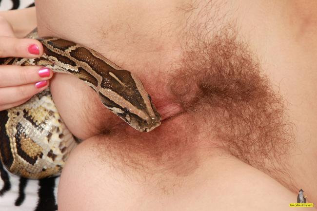 best of Hairy pussy in snake