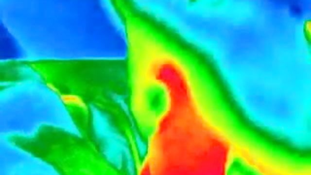 best of Cumshot thermal infrared image